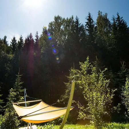 Forstgut - Premium Waldchalets Und * Regen