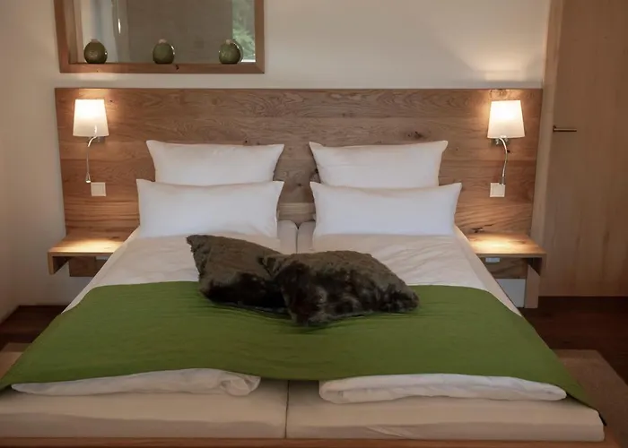 Forstgut - Premium Waldchalets Und Regen