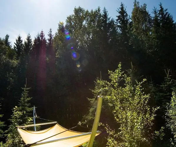 Forstgut - Premium Waldchalets Und * Regen