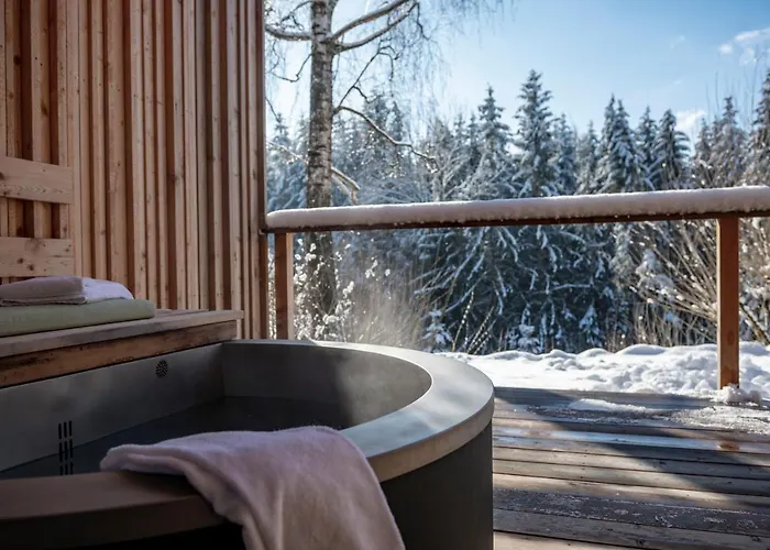 Forstgut - Premium Waldchalets Und * Regen
