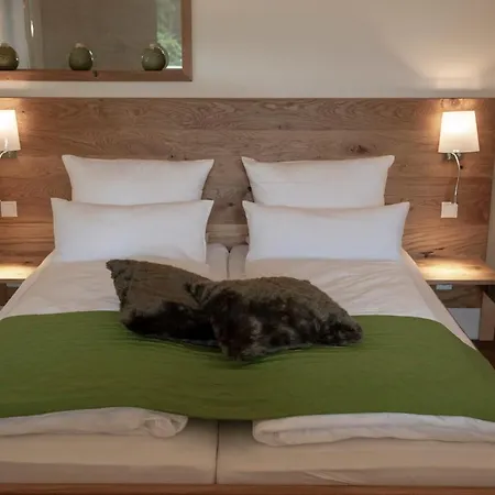 Forstgut - Premium Waldchalets Und Regen