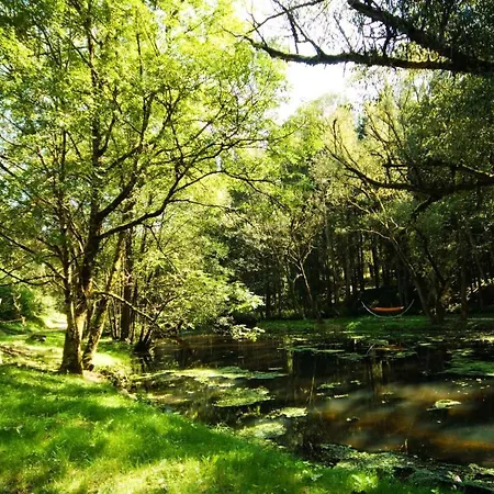 Appartamento Forstgut - Premium Waldchalets Und